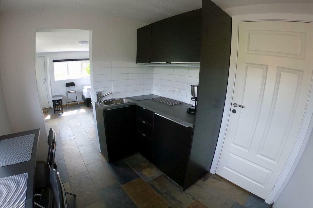 Appartement Hamrar à Einarsstaðir Extérieur photo